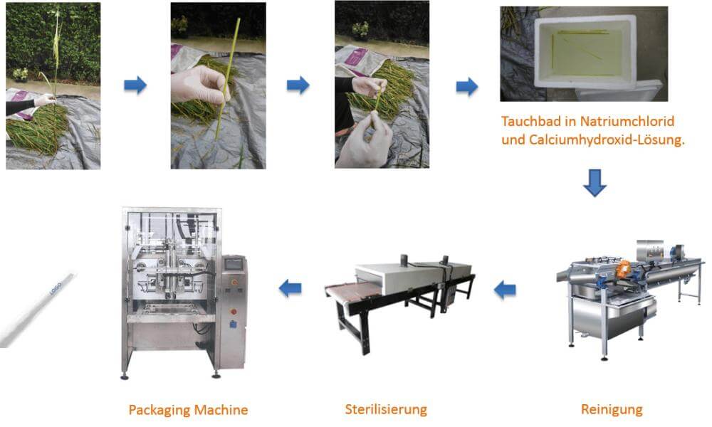Manufacturing of rice drinking straws (trinkhalme, strohlame)